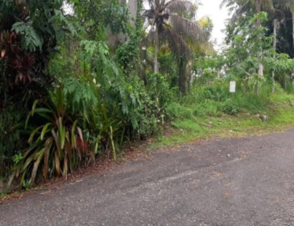 Third image of Lot 1 Anchovy in Anchovy, St. James, Jamaica - property is For Sale