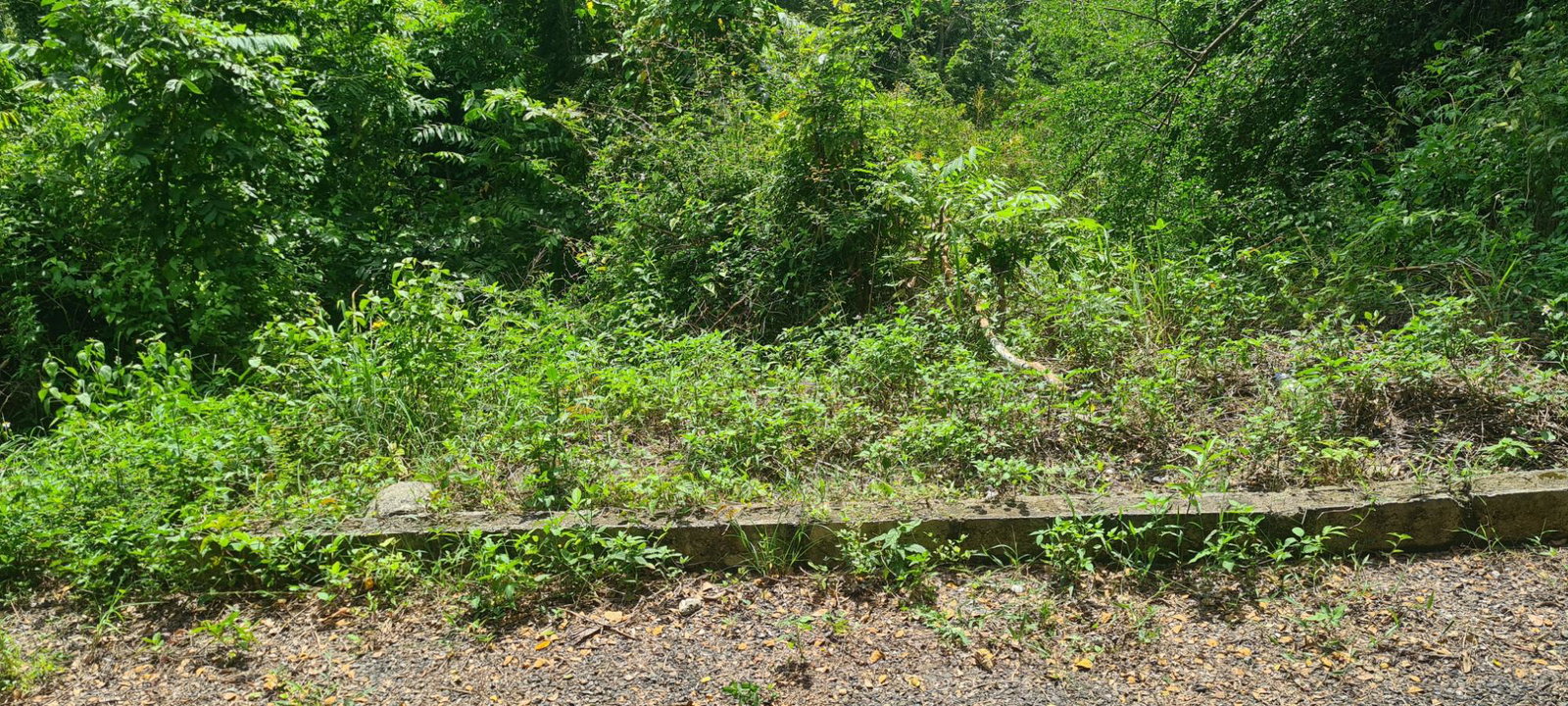 Second image of 39 Chewmagna in Balaclava, St. Elizabeth, Jamaica - property is For Sale