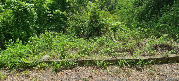 Second image of 39 Chewmagna in Balaclava, St. Elizabeth, Jamaica - property is For Sale