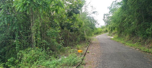 Third image of 39 Chewmagna in Balaclava, St. Elizabeth, Jamaica - property is For Sale