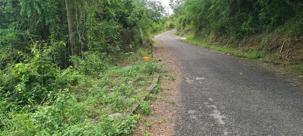 Fourth image of 39 Chewmagna in Balaclava, St. Elizabeth, Jamaica - property is For Sale