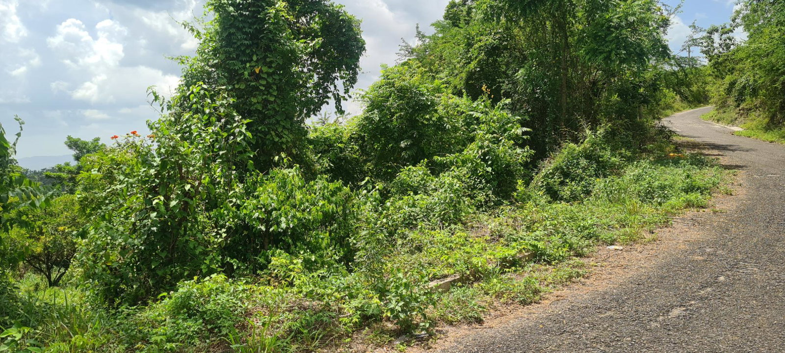 First image of 39 Chewmagna in Balaclava, St. Elizabeth, Jamaica - property is For Sale
