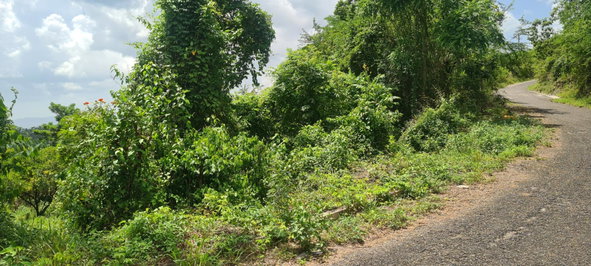 First image of 39 Chewmagna in Balaclava, St. Elizabeth, Jamaica - property is For Sale