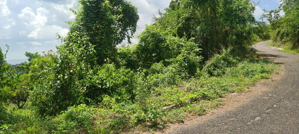 First image of 39 Chewmagna in Balaclava, St. Elizabeth, Jamaica - property is For Sale