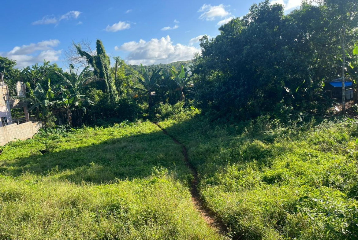 Second image of Eddesfield in Boscobel, St. Mary, Jamaica - property is For Sale