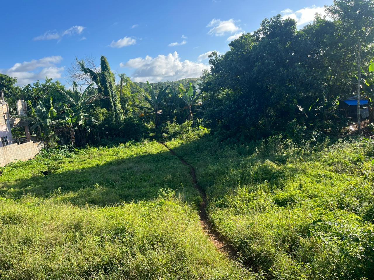 Second image of Eddesfield in Boscobel, St. Mary, Jamaica - property is For Sale
