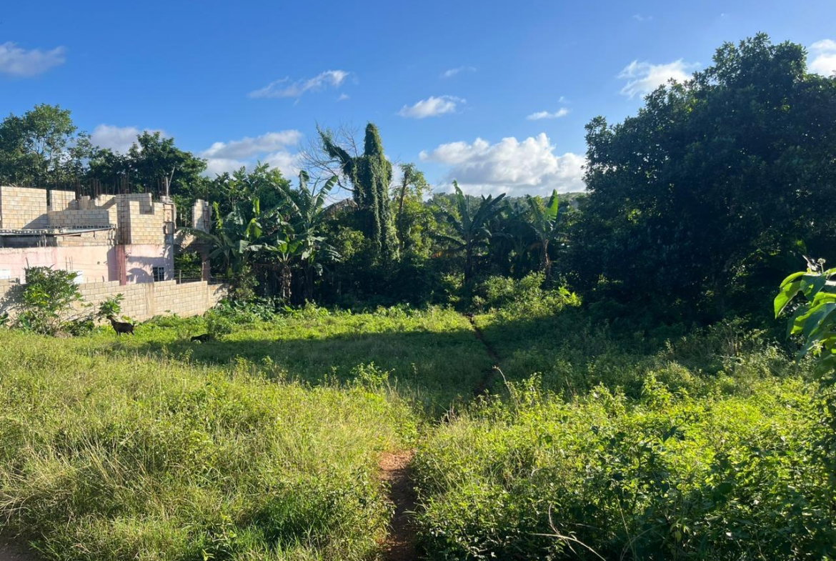 First image of Eddesfield in Boscobel, St. Mary, Jamaica - property is For Sale