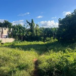 First image of Eddesfield in Boscobel, St. Mary, Jamaica - property is For Sale