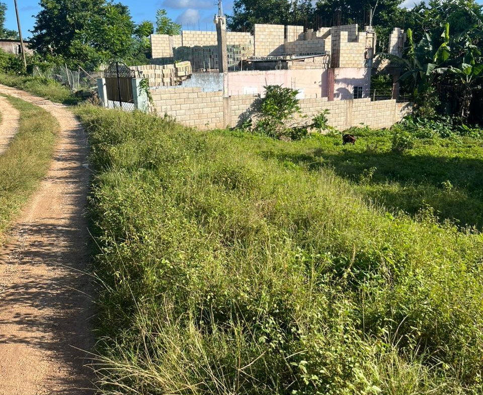 Third image of Eddesfield in Boscobel, St. Mary, Jamaica - property is For Sale