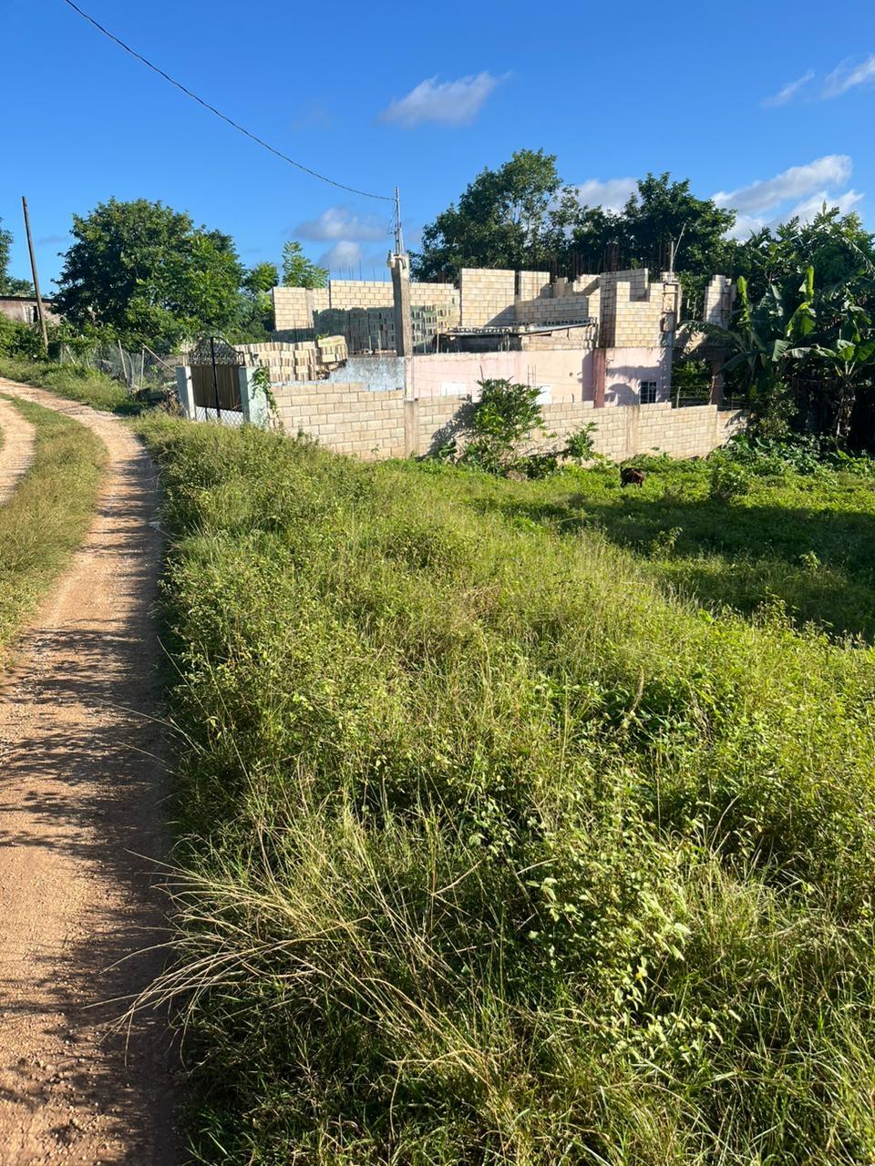 Third image of Eddesfield in Boscobel, St. Mary, Jamaica - property is For Sale