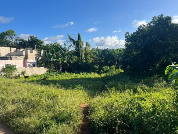First image of Eddesfield in Boscobel, St. Mary, Jamaica - property is For Sale