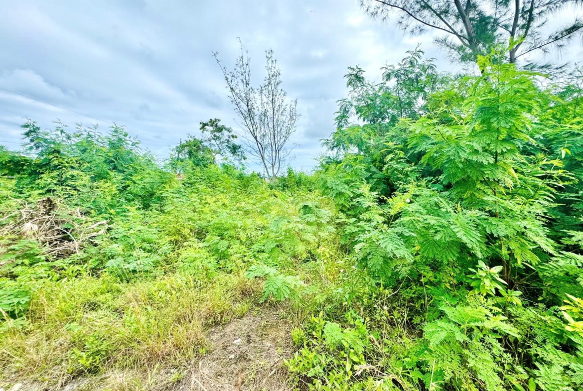 Second image of Boscobel in Boscobel, St. Mary, Jamaica - property is For Sale