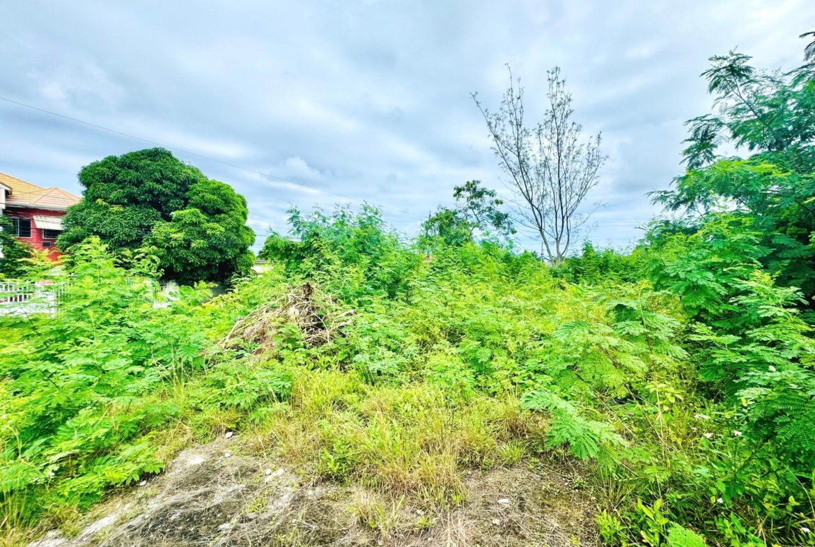 Third image of Boscobel in Boscobel, St. Mary, Jamaica - property is For Sale