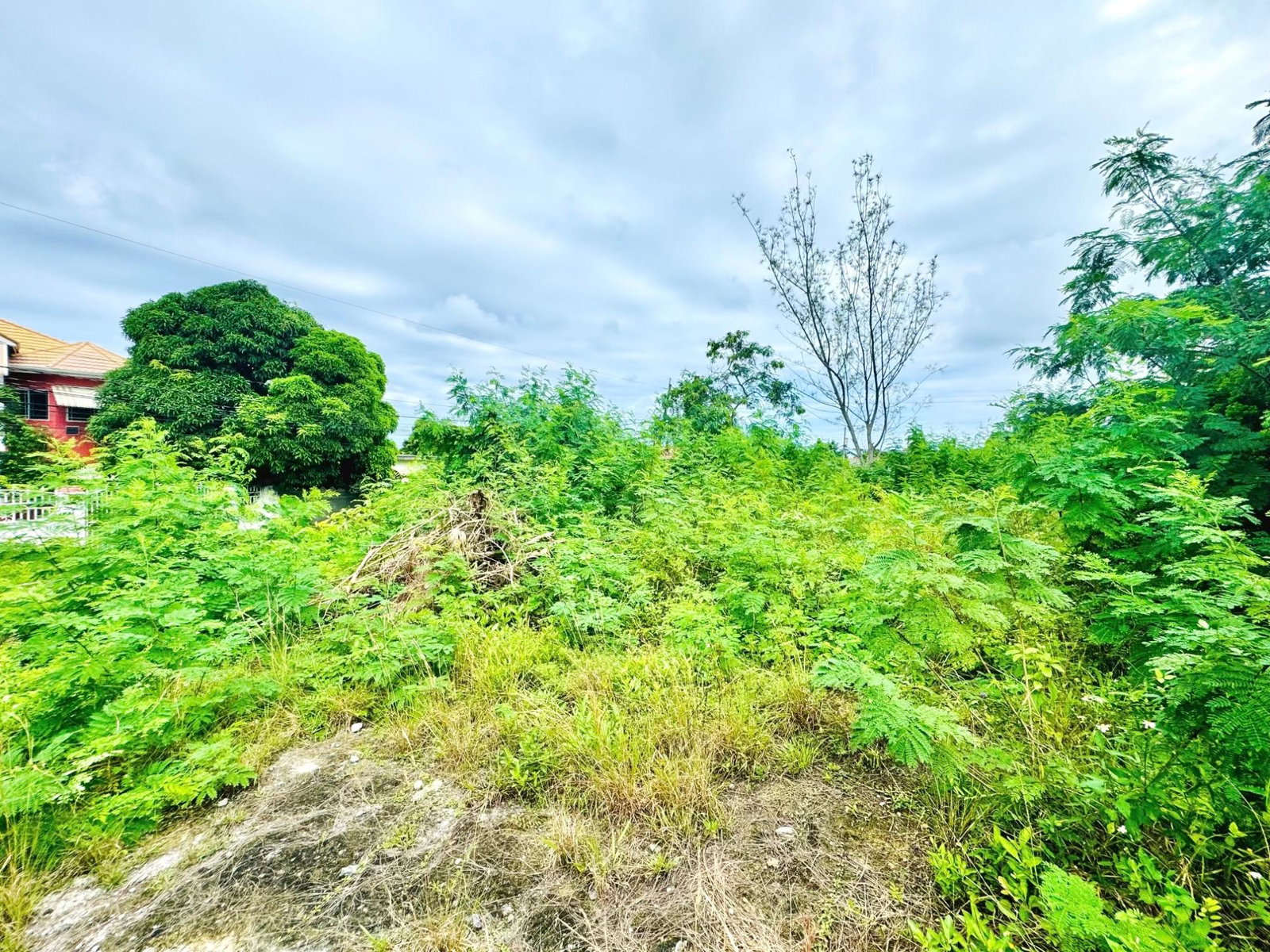 Third image of Boscobel in Boscobel, St. Mary, Jamaica - property is For Sale