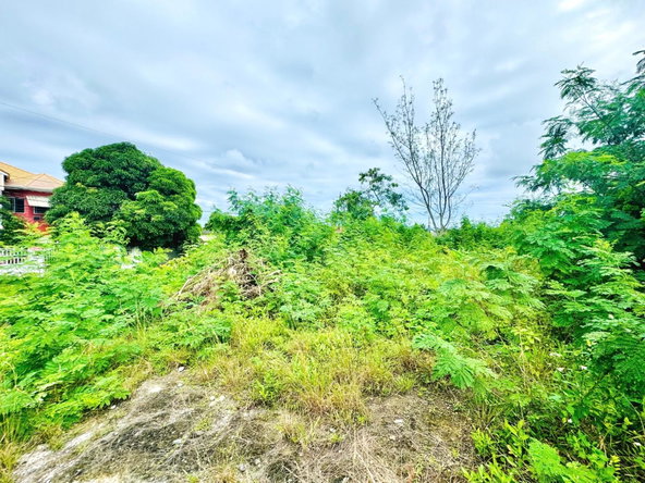 Third image of Boscobel in Boscobel, St. Mary, Jamaica - property is For Sale