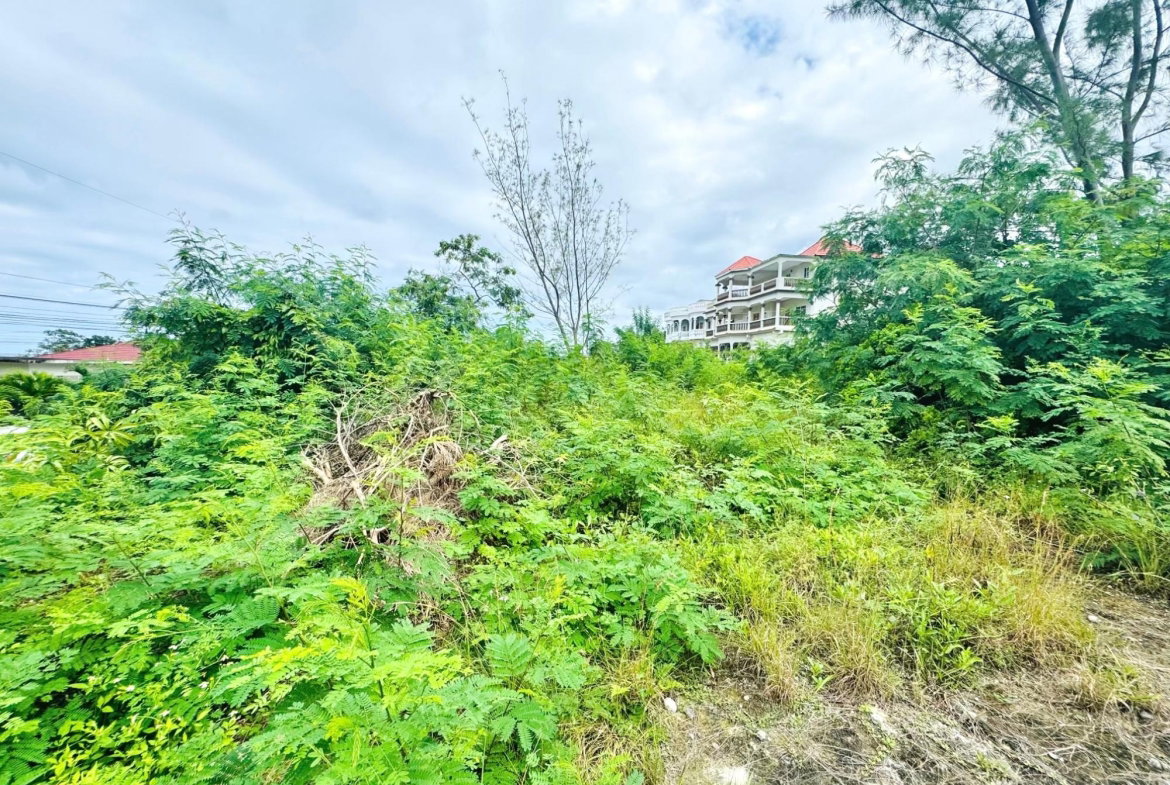 Fifth image of Boscobel in Boscobel, St. Mary, Jamaica - property is For Sale