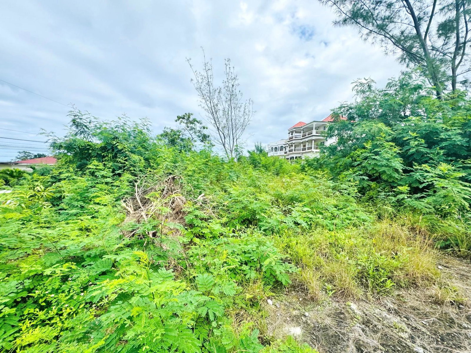 Fifth image of Boscobel in Boscobel, St. Mary, Jamaica - property is For Sale