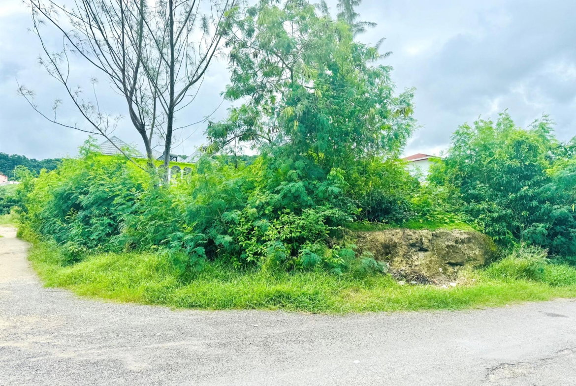 Sixth image of Boscobel in Boscobel, St. Mary, Jamaica - property is For Sale