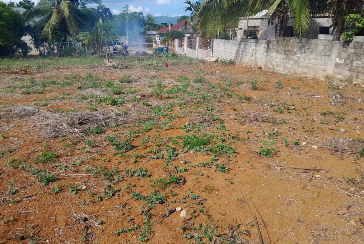 Second image of Burnt Ground, Santa Cruz in Santa Cruz, St. Elizabeth, Jamaica - property is For Sale