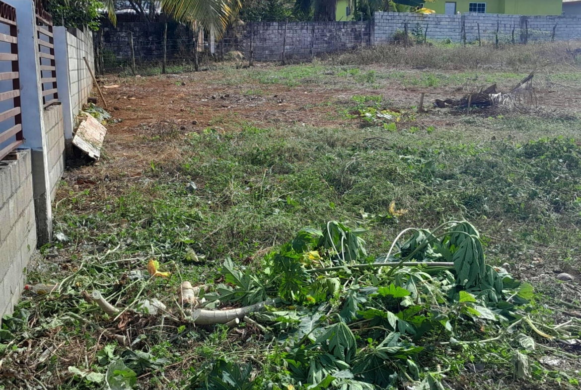 Third image of Burnt Ground, Santa Cruz in Santa Cruz, St. Elizabeth, Jamaica - property is For Sale