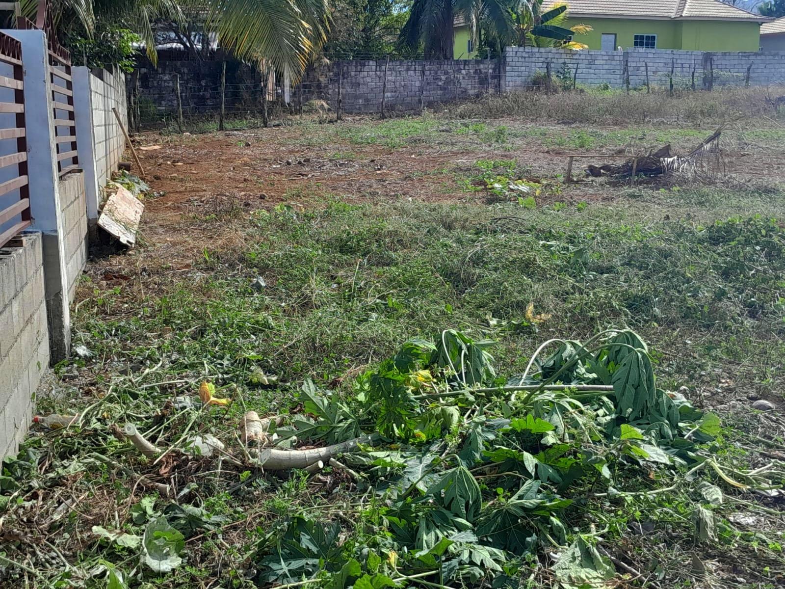 Third image of Burnt Ground, Santa Cruz in Santa Cruz, St. Elizabeth, Jamaica - property is For Sale