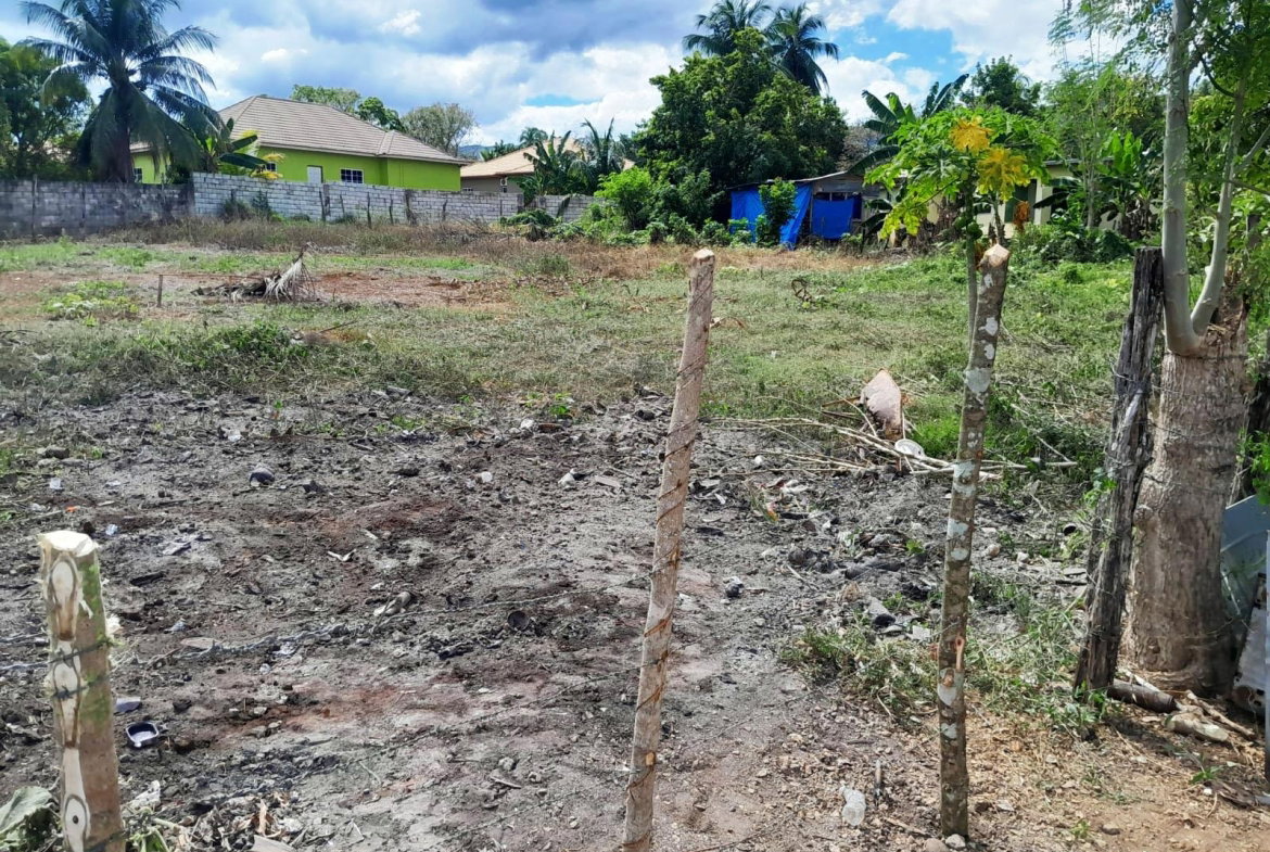 Fourth image of Burnt Ground, Santa Cruz in Santa Cruz, St. Elizabeth, Jamaica - property is For Sale