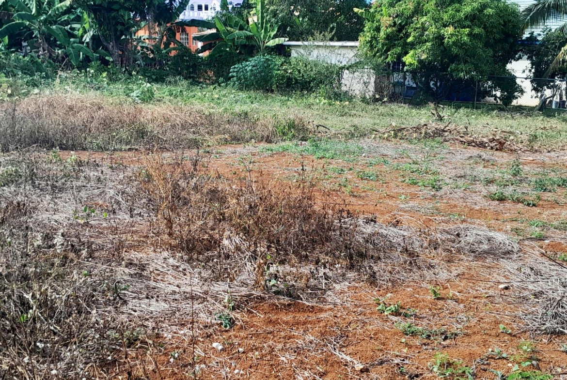 Fifth image of Burnt Ground, Santa Cruz in Santa Cruz, St. Elizabeth, Jamaica - property is For Sale
