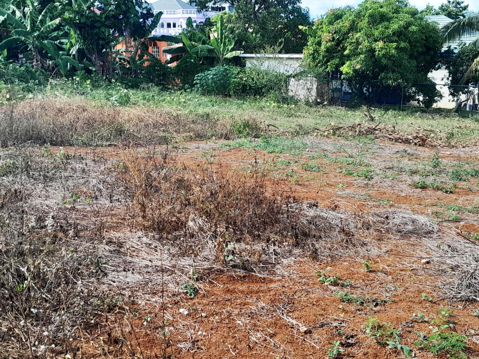 Fifth image of Burnt Ground, Santa Cruz in Santa Cruz, St. Elizabeth, Jamaica - property is For Sale