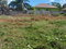 First image of Burnt Ground, Santa Cruz in Santa Cruz, St. Elizabeth, Jamaica - property is For Sale