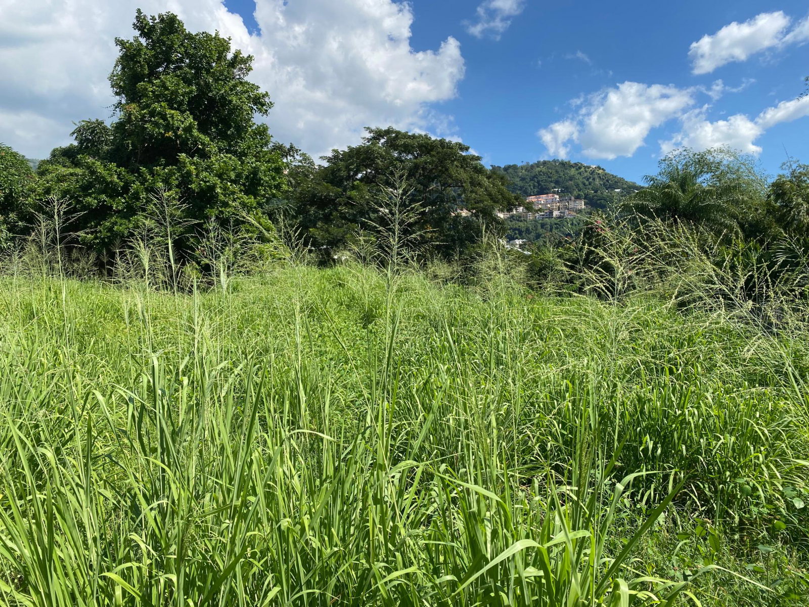 Third image of Carole Crescent in Kingston 8, St. Andrew, Jamaica - property is For Sale
