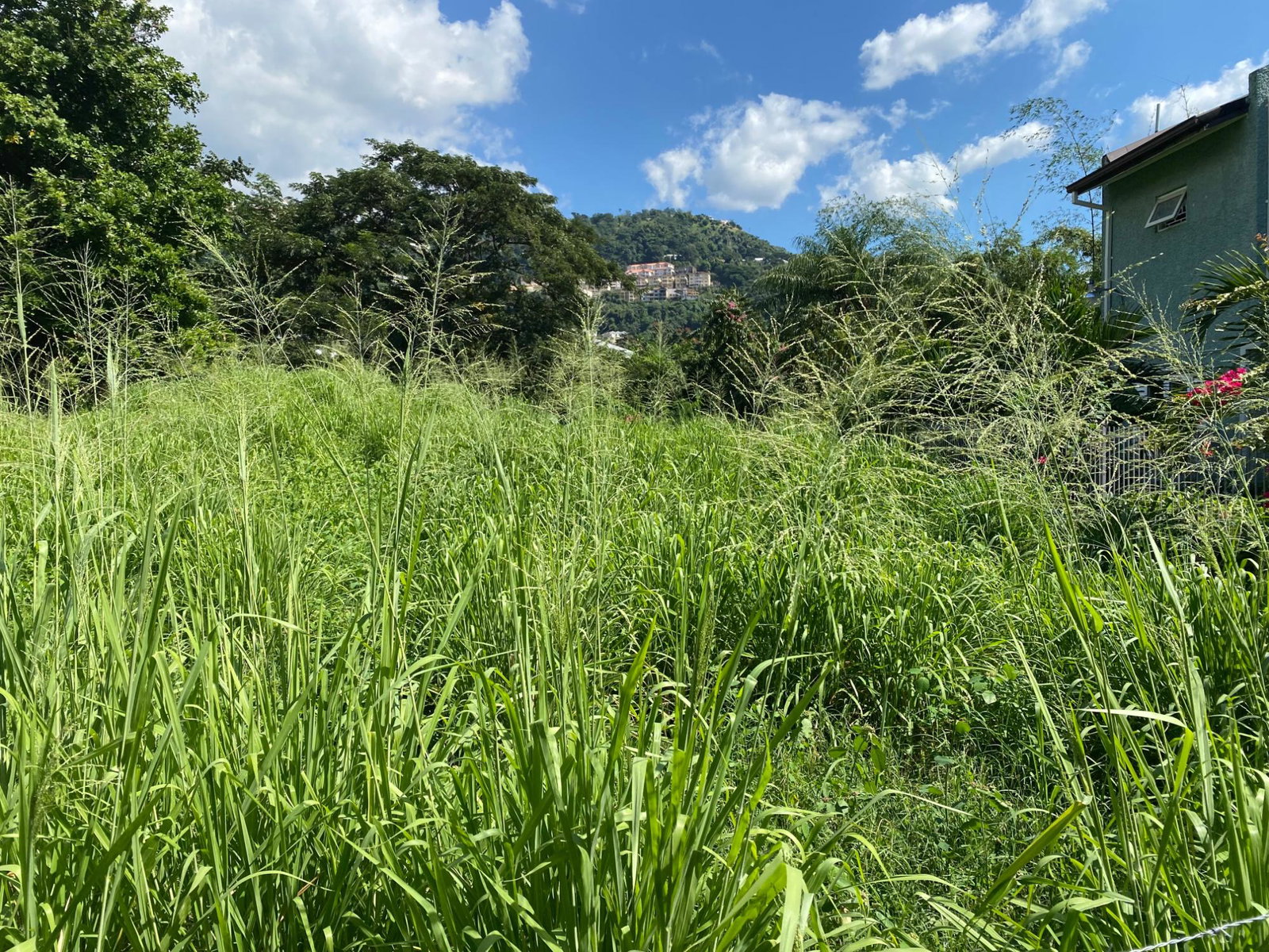 Fourth image of Carole Crescent in Kingston 8, St. Andrew, Jamaica - property is For Sale