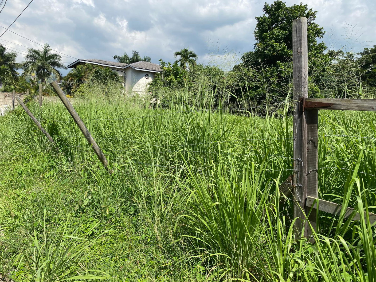 Seventh image of Carole Crescent in Kingston 8, St. Andrew, Jamaica - property is For Sale