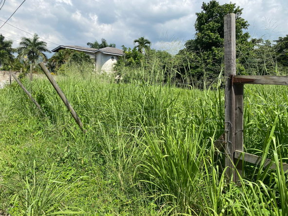 Seventh image of Carole Crescent in Kingston 8, St. Andrew, Jamaica - property is For Sale