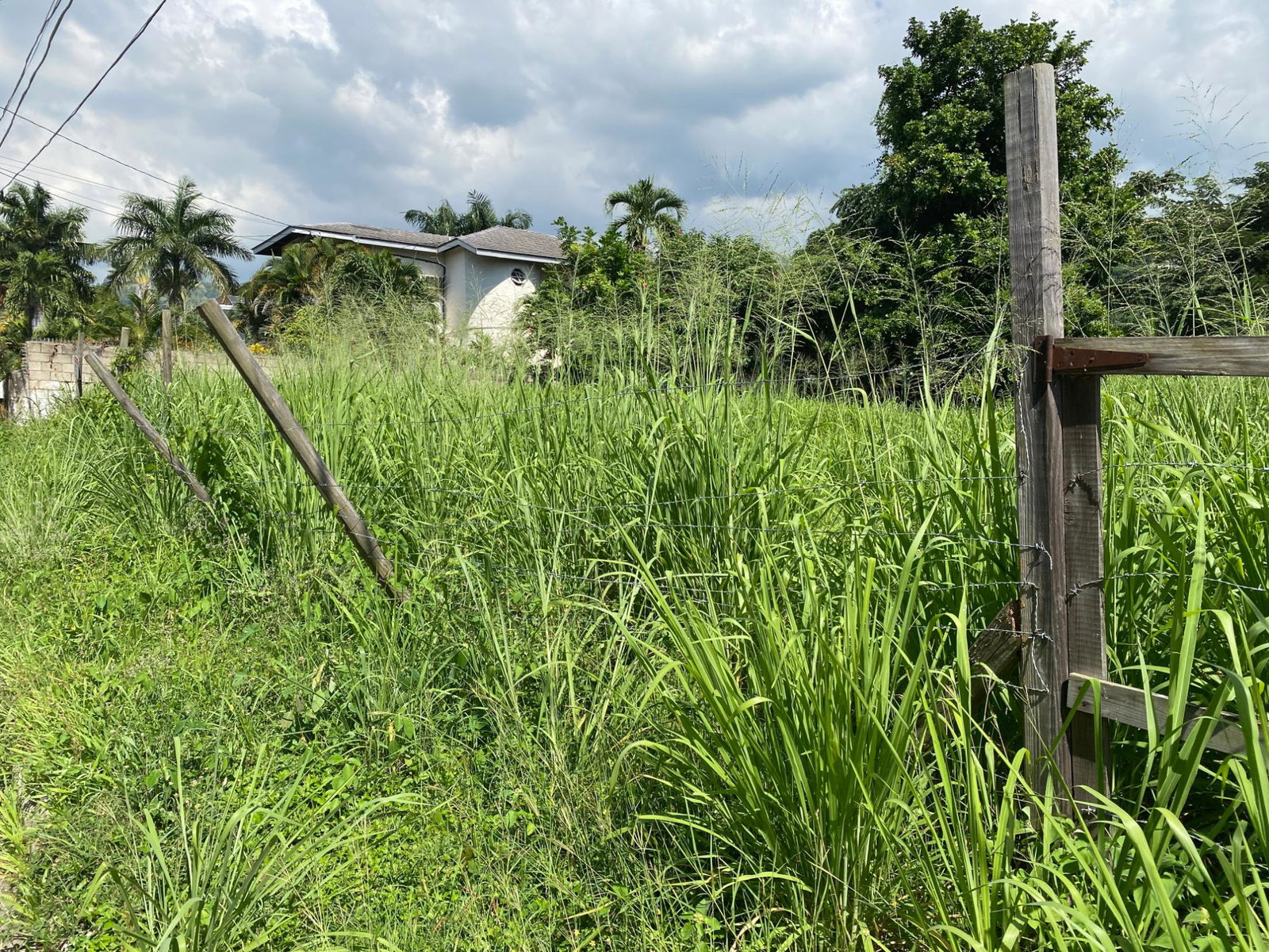Eighth image of Carole Crescent in Kingston 8, St. Andrew, Jamaica - property is For Sale