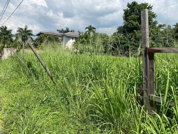 Eighth image of Carole Crescent in Kingston 8, St. Andrew, Jamaica - property is For Sale