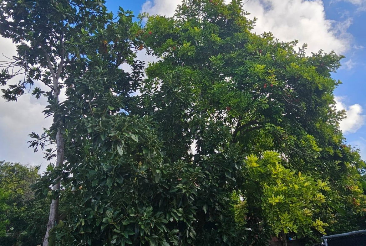 Fifth image of Lot #413 Melrose Terrace Coral Gar in Montego Bay, St. James, Jamaica - property is For Sale