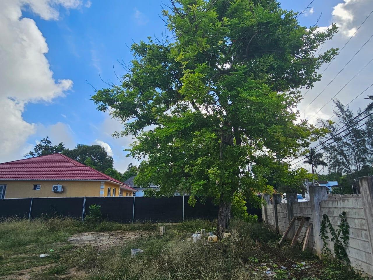 Prime-Residential-Lot-for-Sale-in-Coral-Gardens-Jamaica Sixth image of Lot #413 Melrose Terrace Coral Gar in Montego Bay, St. James, Jamaica - property is For Sale
