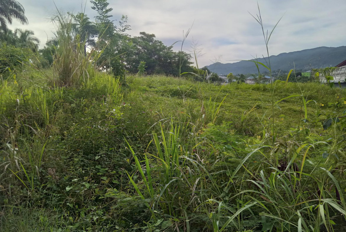 Second image of Lot 6 Fairfield Estate in Fairfield, St. James, Jamaica - property is For Sale
