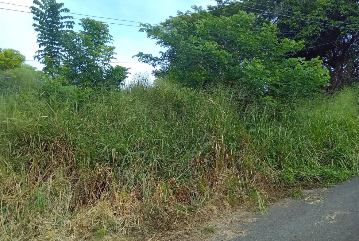 First image of Lot 6 Fairfield Estate in Fairfield, St. James, Jamaica - property is For Sale