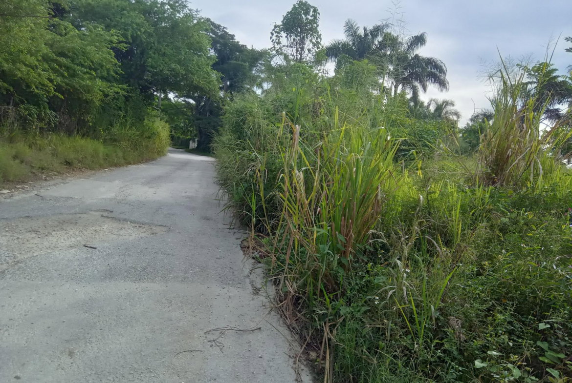 Third image of Lot 6 Fairfield Estate in Fairfield, St. James, Jamaica - property is For Sale