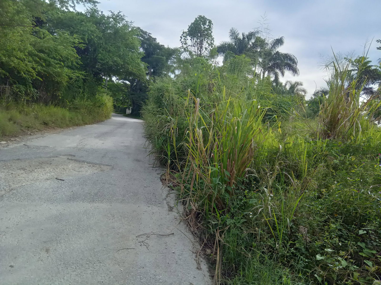 Third image of Lot 6 Fairfield Estate in Fairfield, St. James, Jamaica - property is For Sale