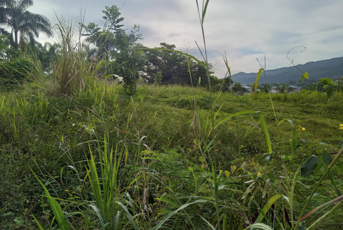 Fourth image of Lot 6 Fairfield Estate in Fairfield, St. James, Jamaica - property is For Sale