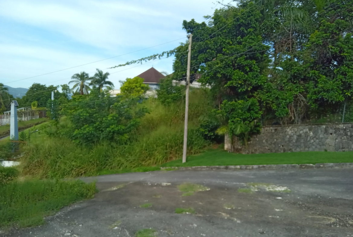 Fifth image of Lot 6 Fairfield Estate in Fairfield, St. James, Jamaica - property is For Sale