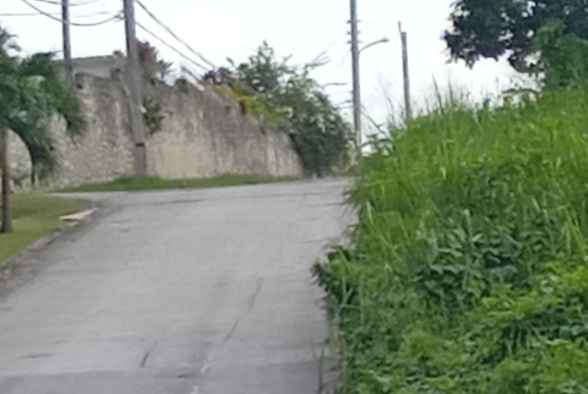 Sixth image of Lot 6 Fairfield Estate in Fairfield, St. James, Jamaica - property is For Sale