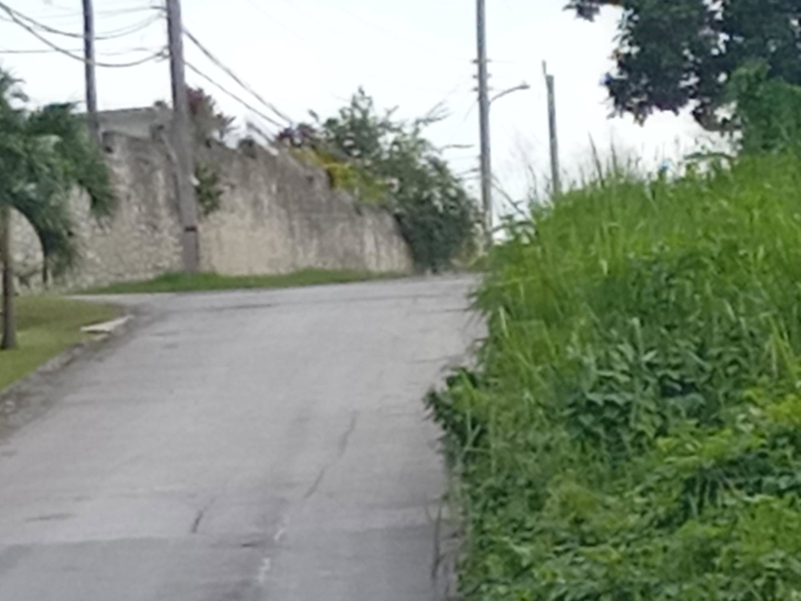 Sixth image of Lot 6 Fairfield Estate in Fairfield, St. James, Jamaica - property is For Sale