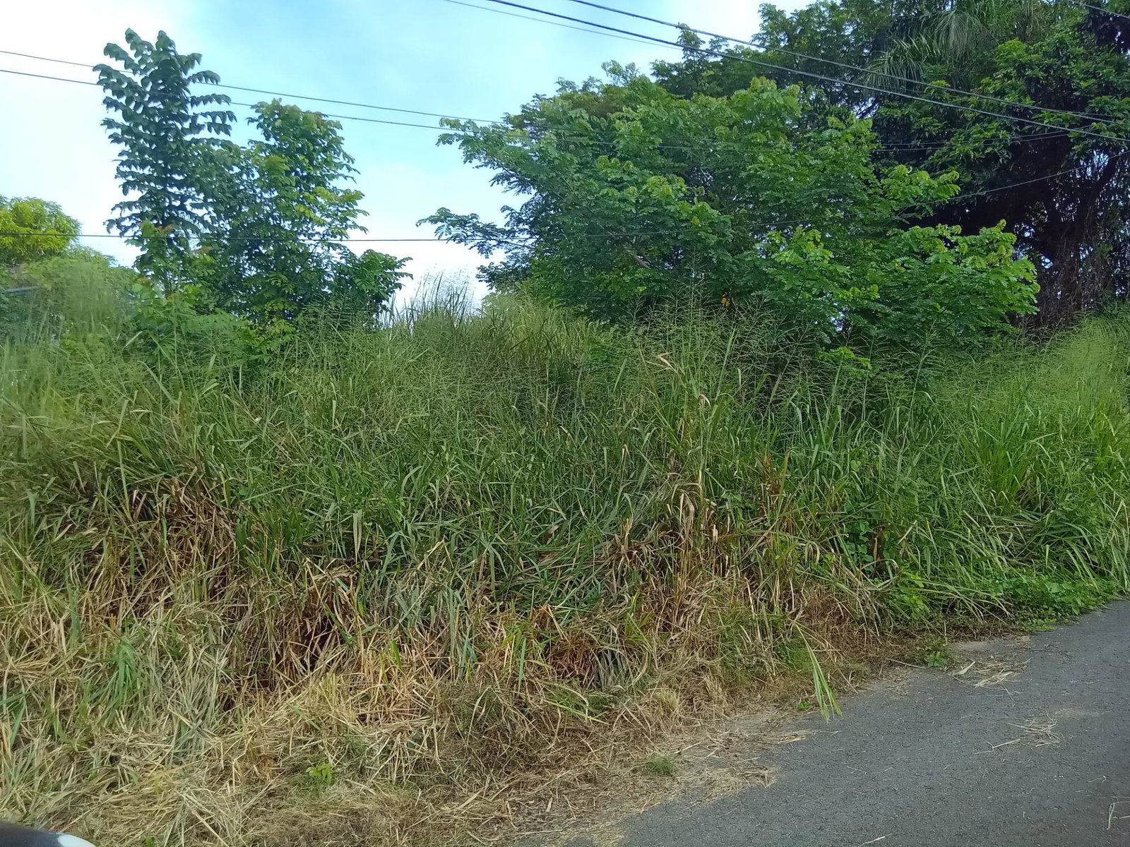 First image of Lot 6 Fairfield Estate in Fairfield, St. James, Jamaica - property is For Sale