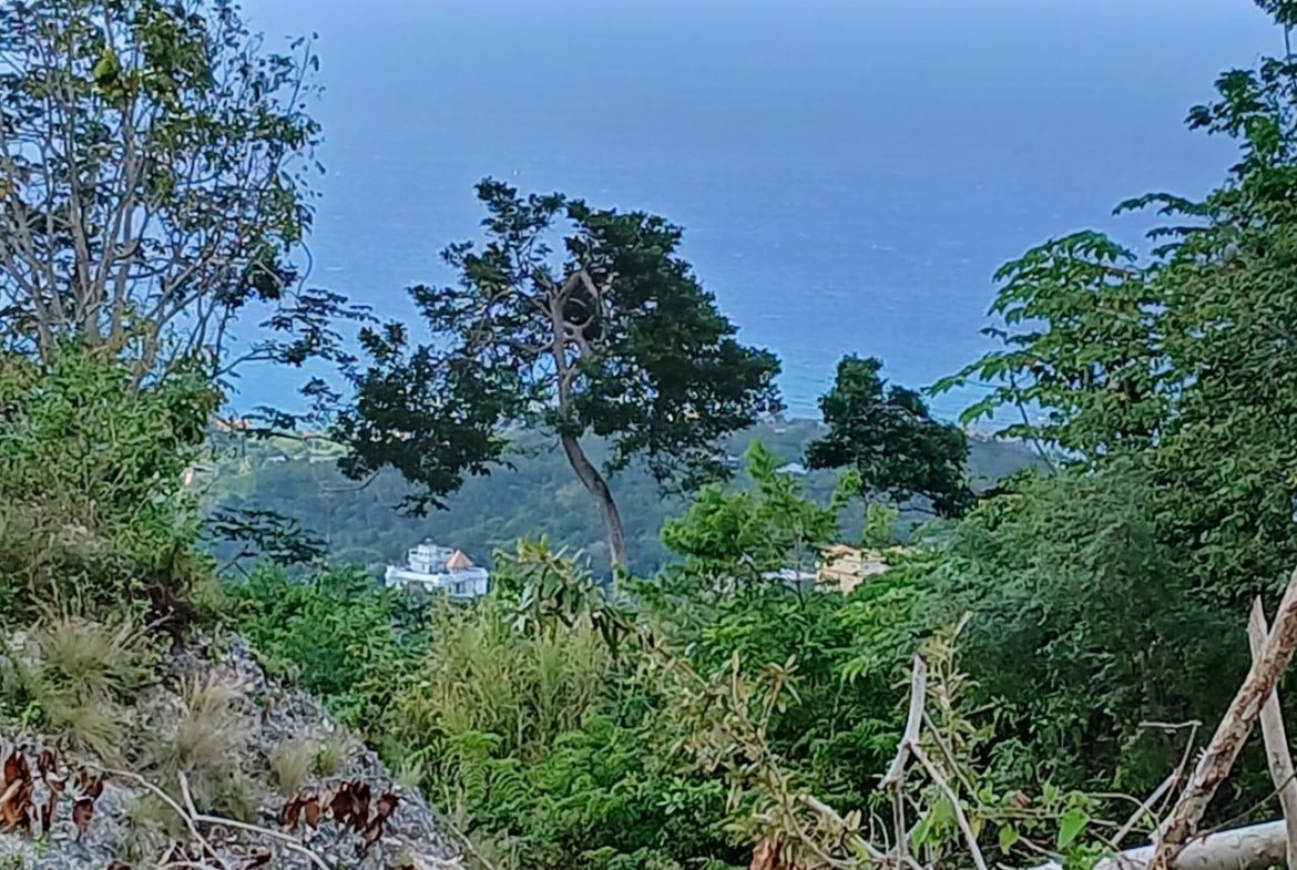Third image of 36- Friendship Grove in Hopewell, Hanover, Jamaica - property is For Sale