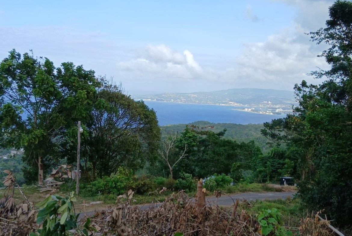 Fourth image of 36- Friendship Grove in Hopewell, Hanover, Jamaica - property is For Sale