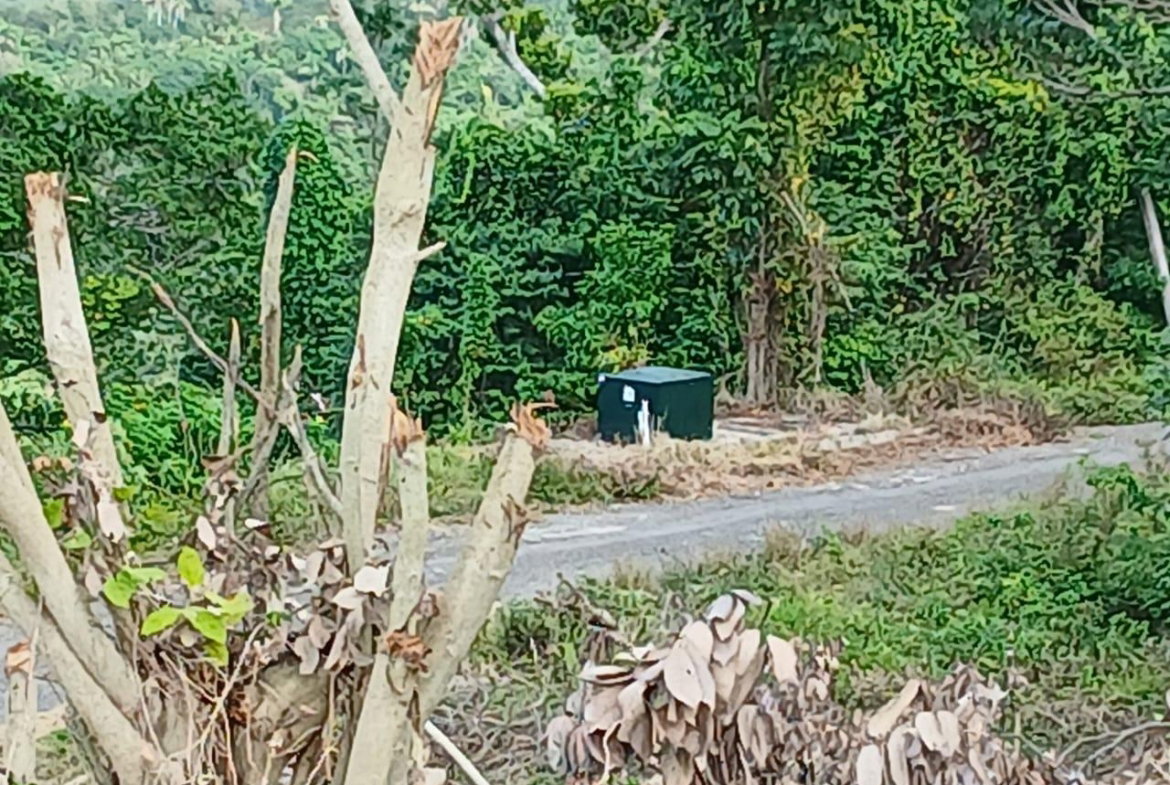 Fifth image of 36- Friendship Grove in Hopewell, Hanover, Jamaica - property is For Sale