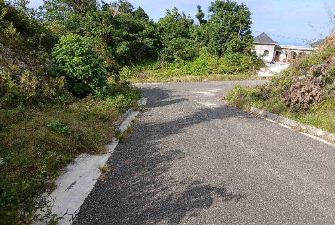Seventh image of 36- Friendship Grove in Hopewell, Hanover, Jamaica - property is For Sale